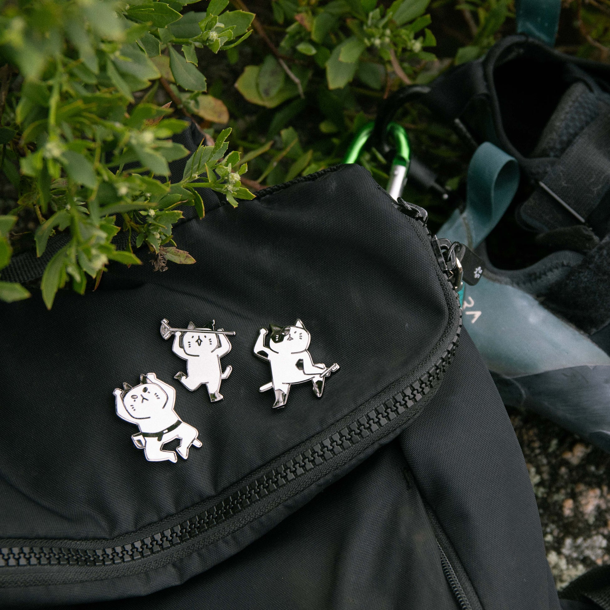 beta dance pins