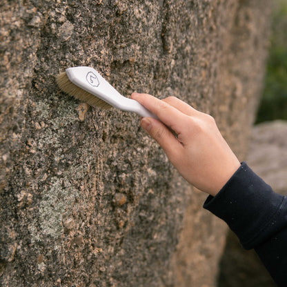 fivefoot chalk brush
