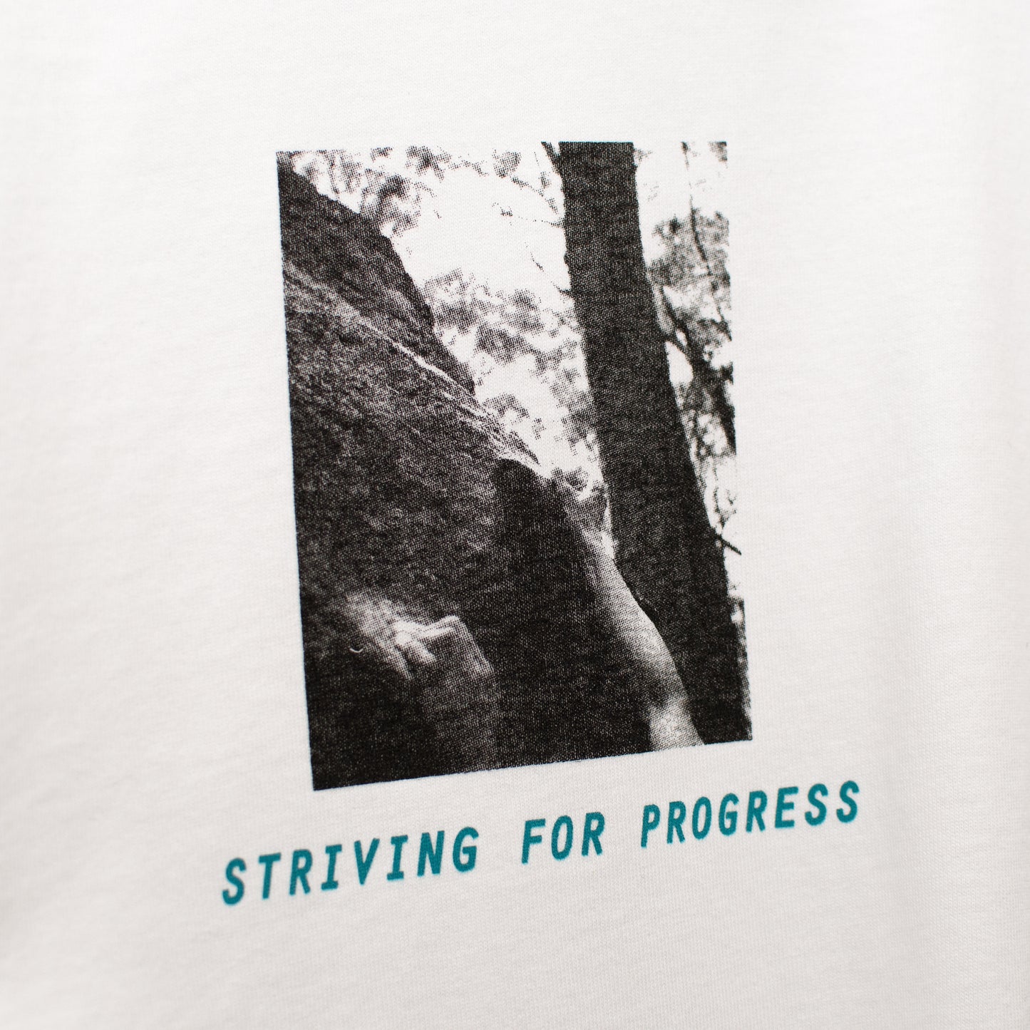 Striving for Progress Heavy Boxy Tee